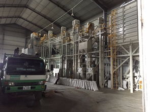柬埔寨大米加工廠 優(yōu)質稻米產業(yè)鏈與食品經營商機解析
